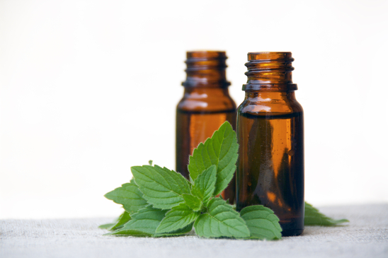 Mint Essential Oil