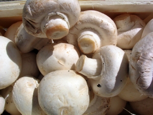 Mushrooms Nutrition
