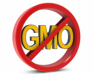 No Gmo