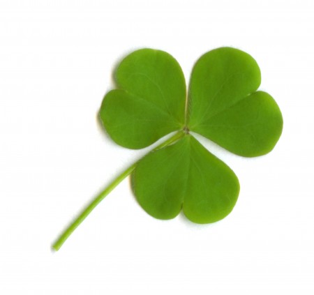 Shamrock E1425925842162