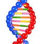 DNA