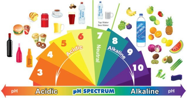 Spectrum Revised