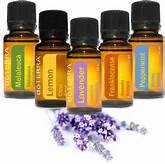 Essential Oil Blog